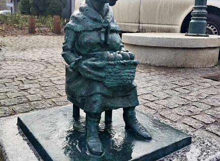 Fot. materialy Zarządu Zieleni Miejskiej.jpg