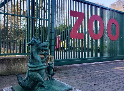 Fot. materialy Zarządu Zieleni Miejskiej 4.jpg